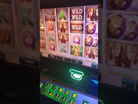 On Line Casino Hűségkérelmek Dc
